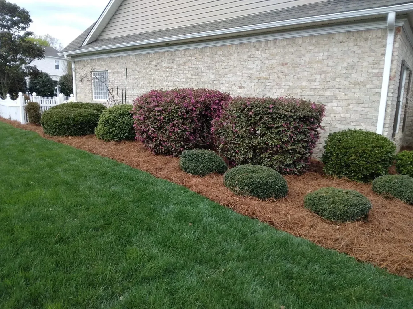 Lawn and landscape care serving Clemmons, North Carolina