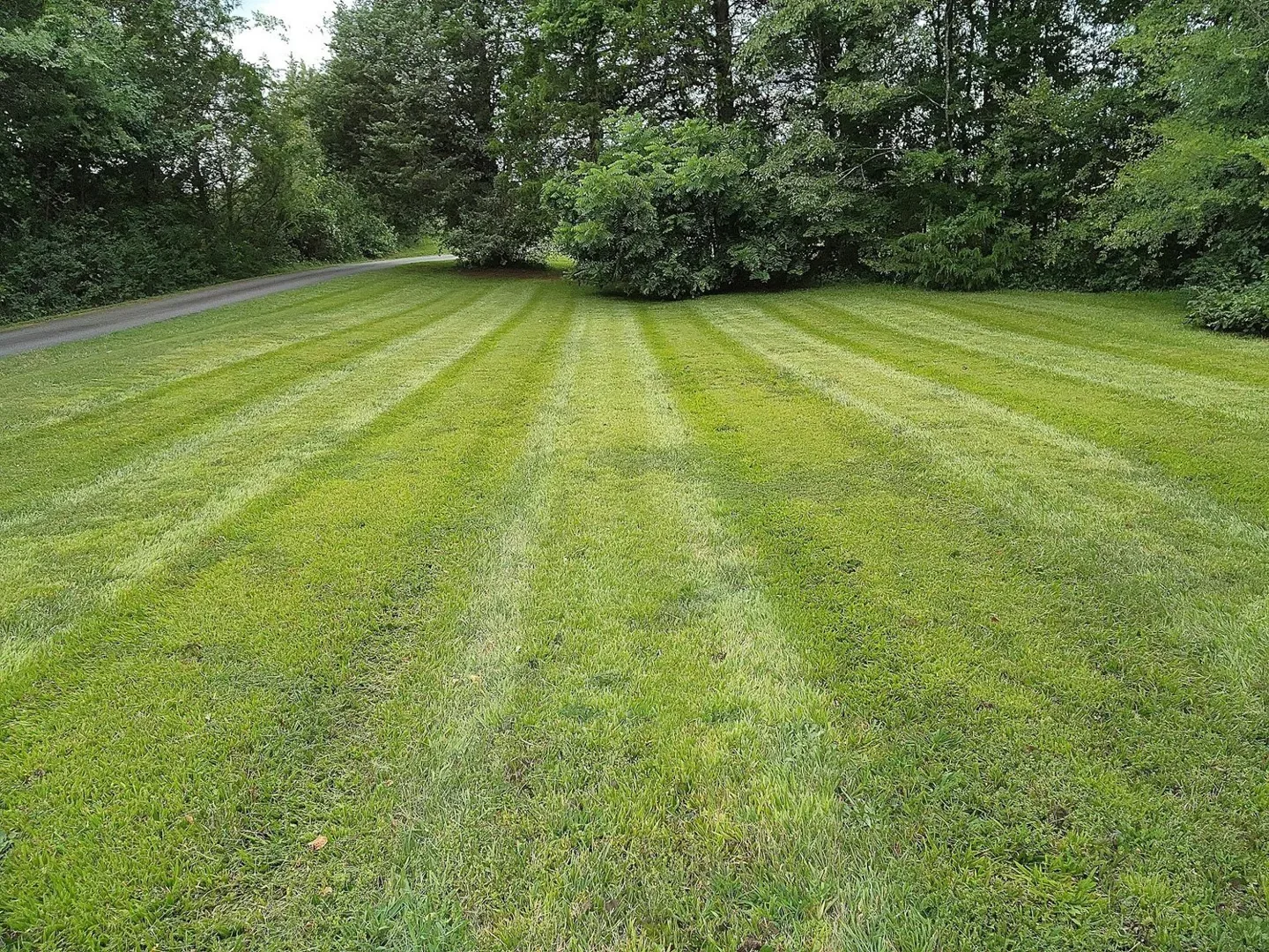 Fresh mowing stripes across an open lawn bordered by trees.