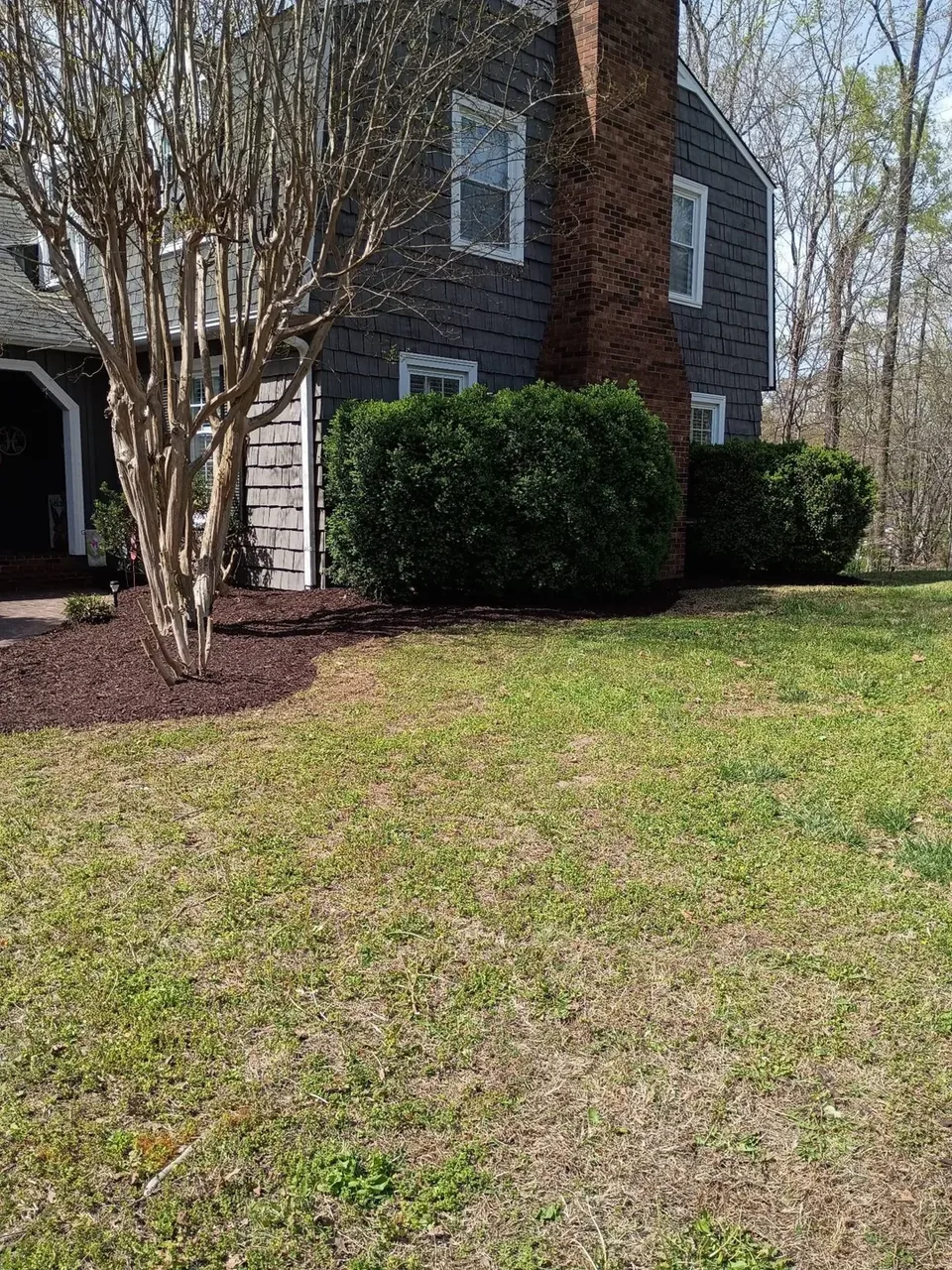 Fresh brown mulch around shrubs and a small tree beside a brick chimney.