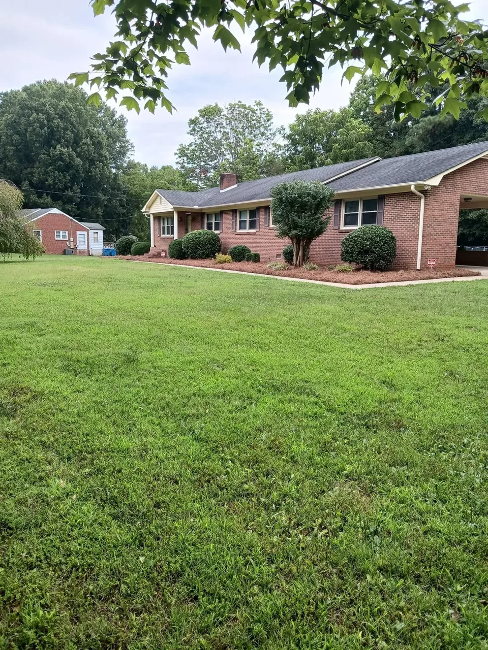 Pruned shrubs and fresh pine needles along the front of a brick home.