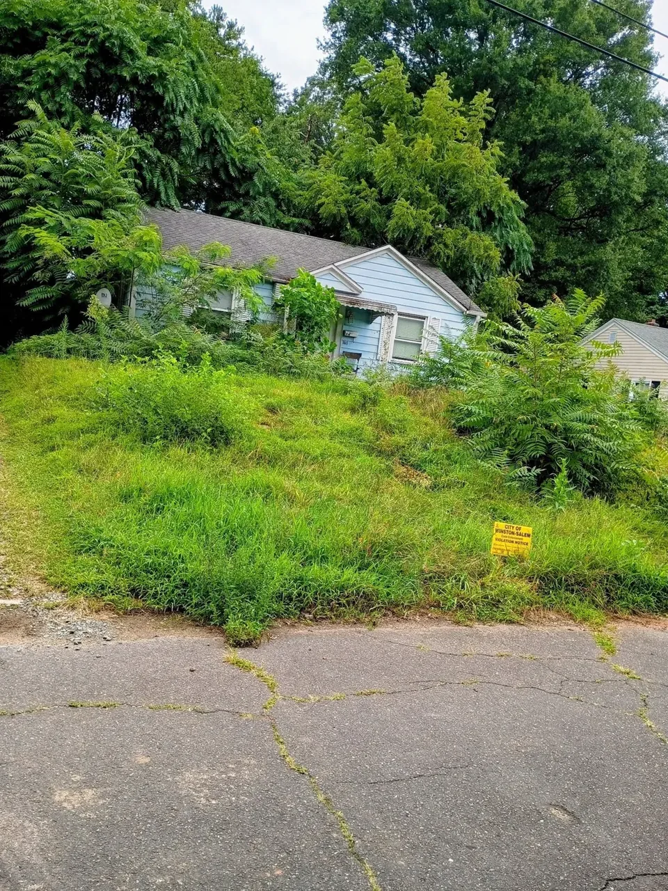 Before cleanup: tall grass and overgrown shrubs around a small house.