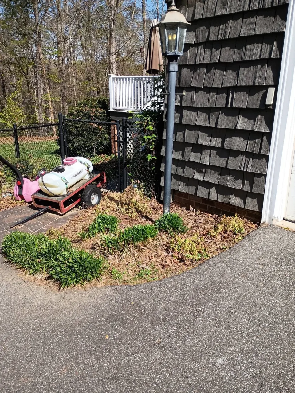 Before cleanup: weeds and sparse ground cover beside the backyard patio.