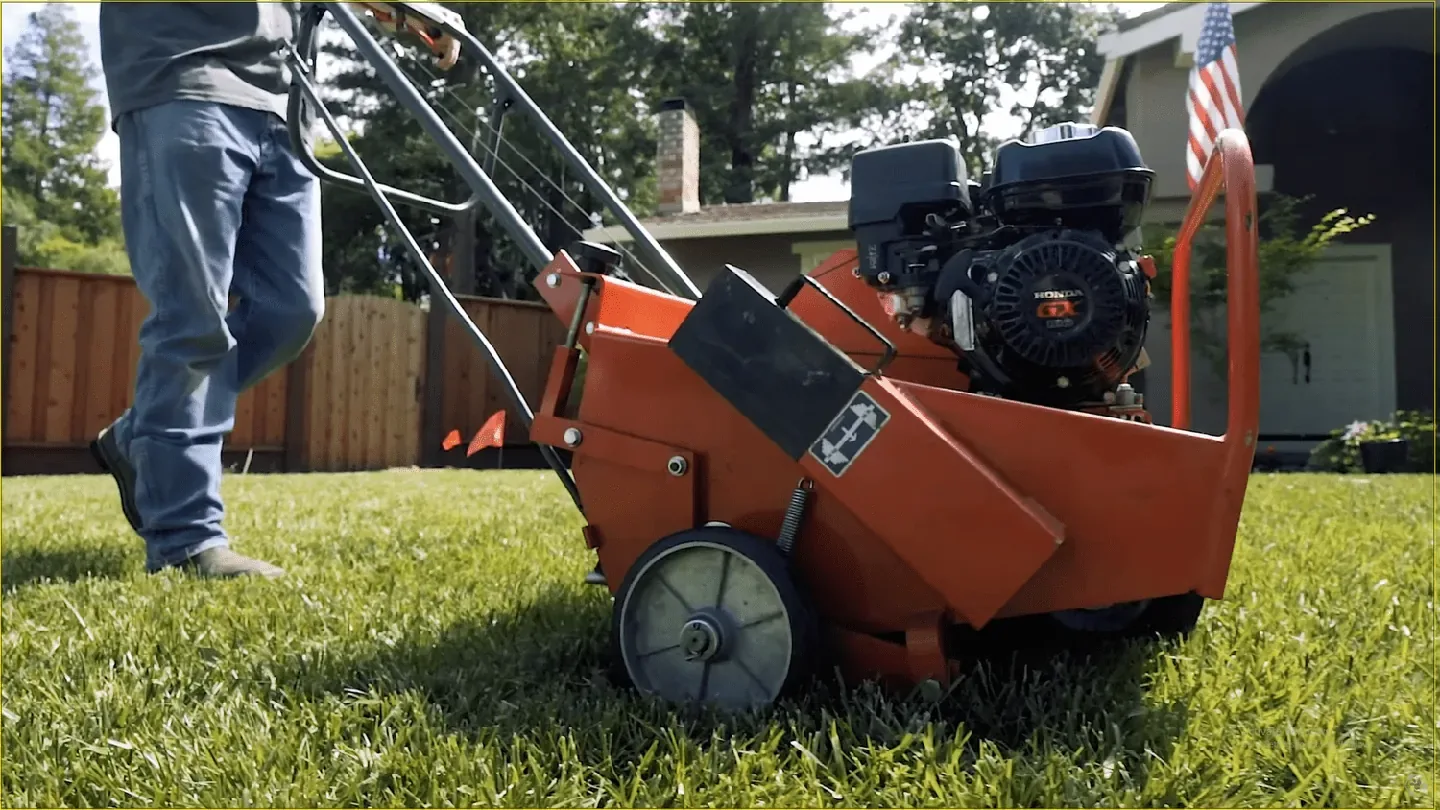 Core aeration & overseeding
