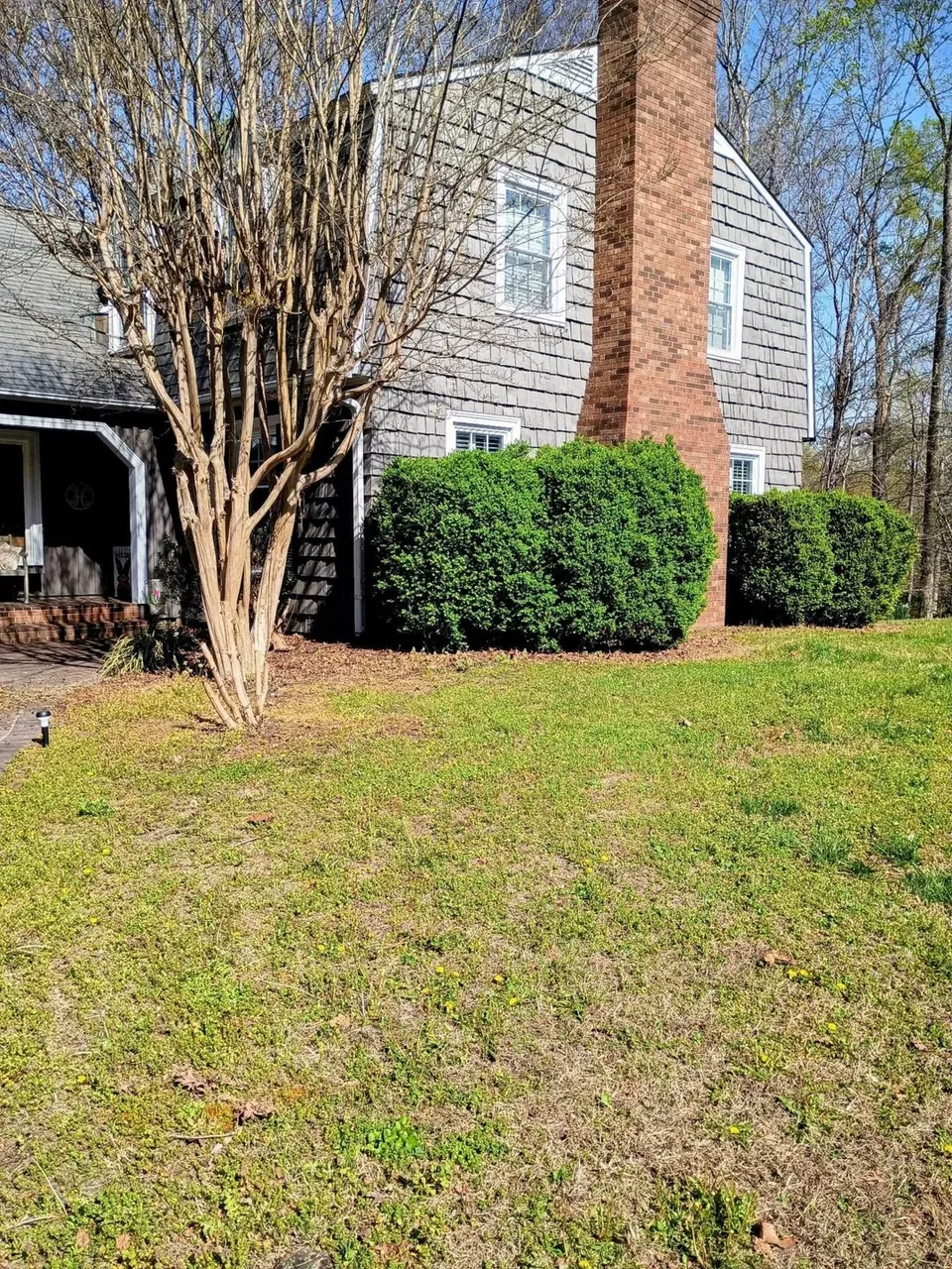 Tree and shrubs beside a brick chimney before a mulch bed refresh.