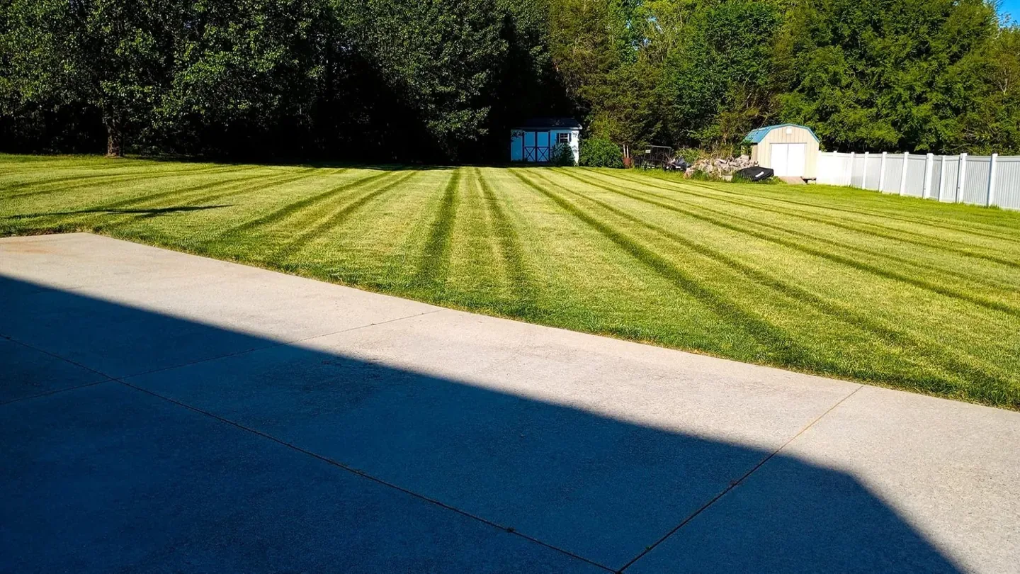 Alternating mowing stripes across a backyard lawn beside a concrete patio.