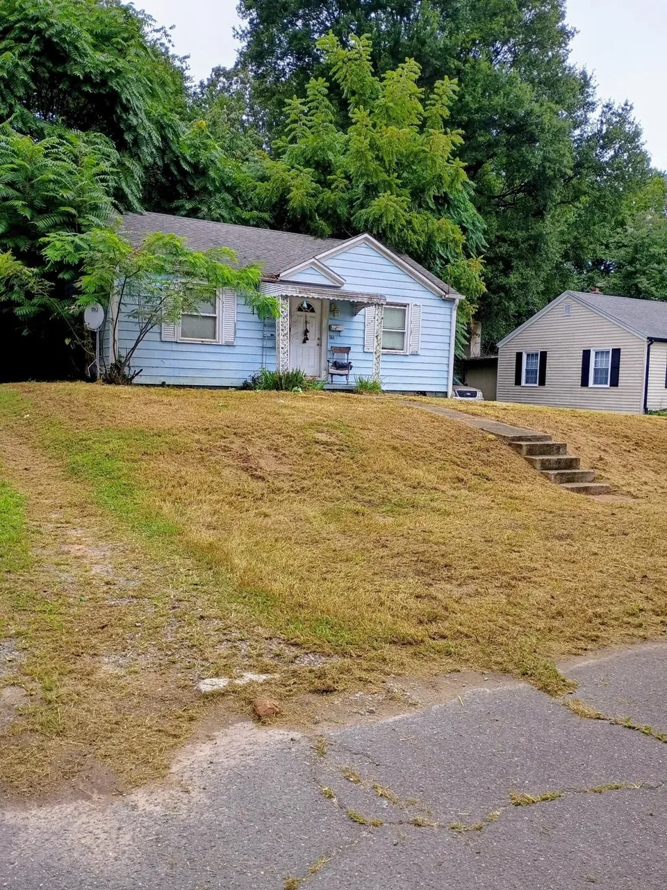 After cleanup: freshly cut sloping lawn and cleared stone steps.