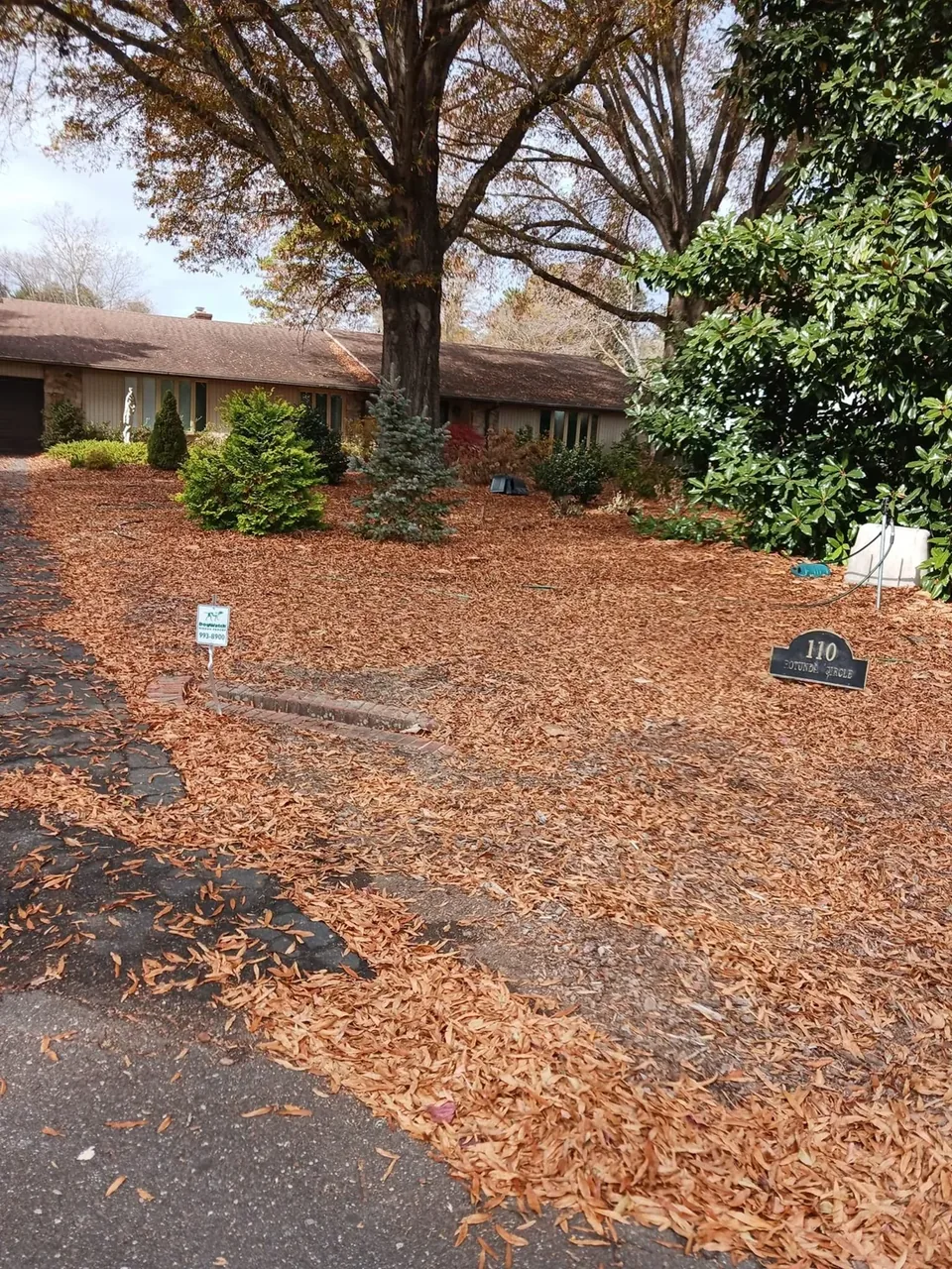 Leaves covering the planting beds beside a driveway before fall cleanup.
