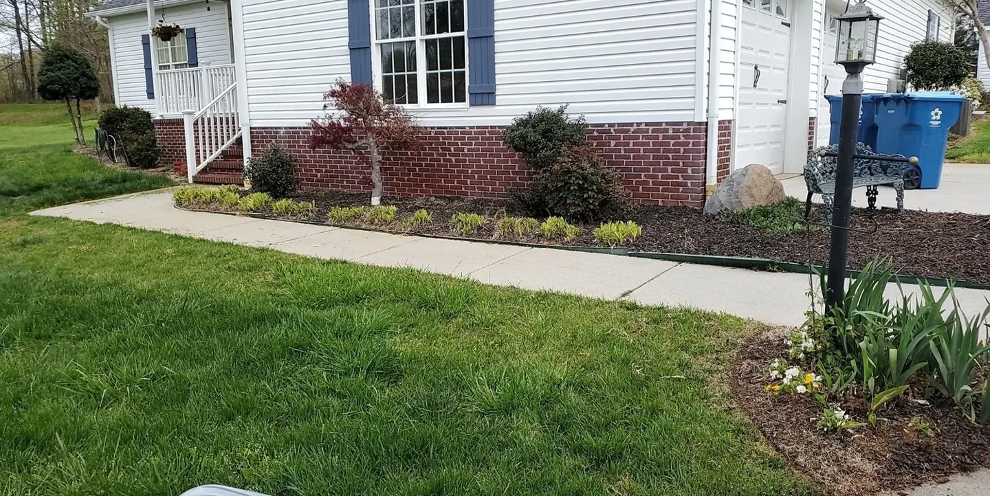 Faded mulch in a front garden bed before a refresh.